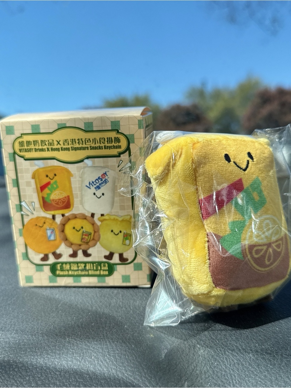 Lemon tea drink Keychain Vitasoy Blind Box